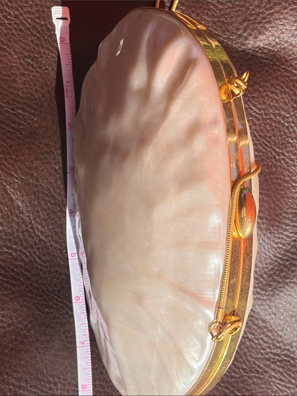 Zara Pearl Shell Clutch with Gold Hardware - Picture 9 of 11